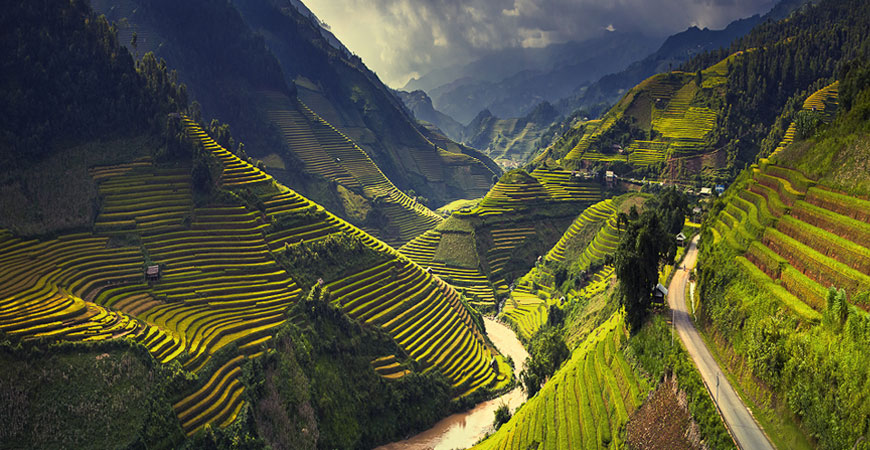 riziere-sapa-ha-giang-vietnam