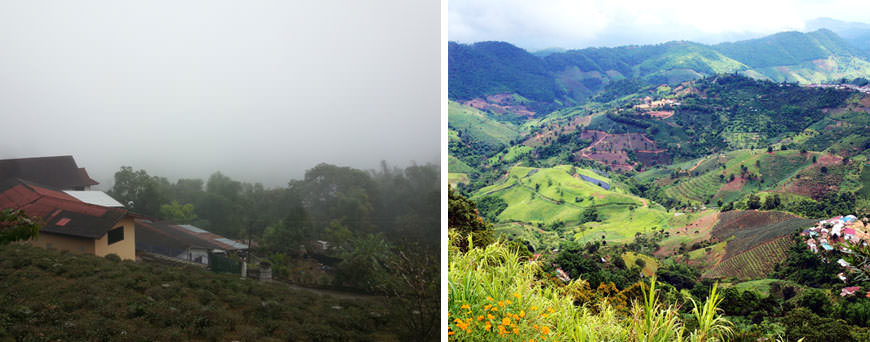 mae-salong-paysages-villages-nord-thailande.