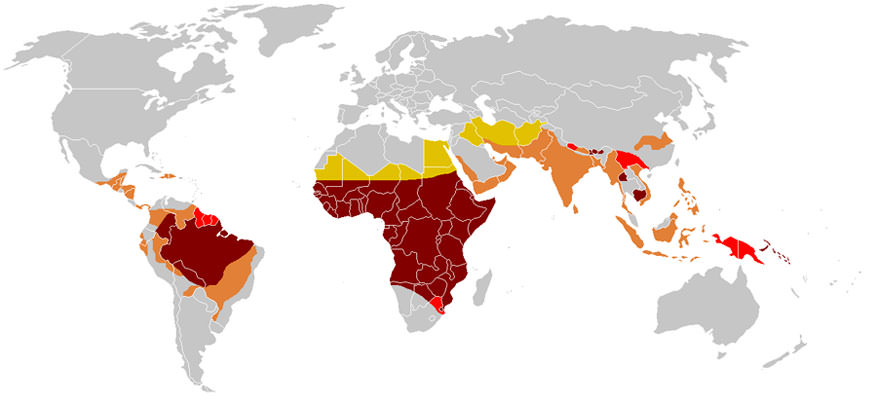 carte-vaccin-tour-du-monde-paludisme