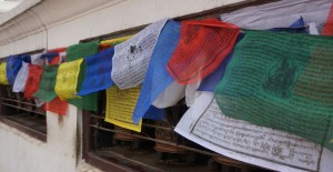 association-shakti-nepal