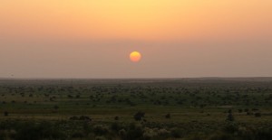 jaisalmer-safari-dromadaire-desert-thar-coucher-soleil-2