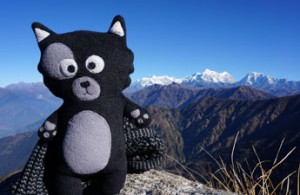 kiwi-around-the-world