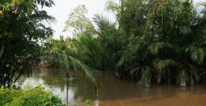 Roadtrip-delta-Mekong-ben-tre-2