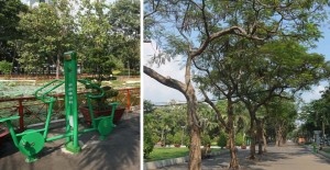 ho-chi-minh-ville-parc-cong-vien-23-thang-9