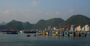 ile-cat-ba-baie-halong-vietnam-3