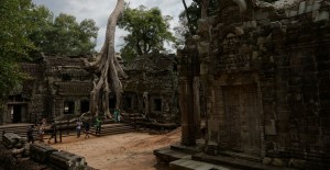 angkor-ta-prohm