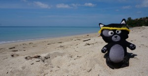 koh-lanta-plage-eau-turquoise-equipe-jaune