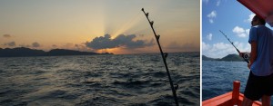 koh-tao-peche-exotique-fishing-trip