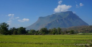 bilan-voyage-thailande-montagne-riziere