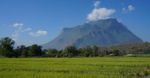 chiang-dao-riziere-montagne