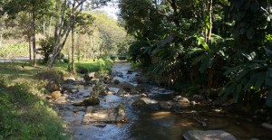 chiang-rai-cascade-khun-korn-waterfall-