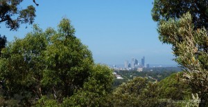 perth-bold-park-australie