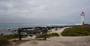roadtrip-australie-port-fairy-griffiths-island-phare