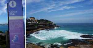 sydney-bondi-beach-coastal-walk