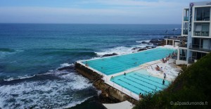 sydney-bondi-beach-piscine