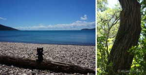 roadtrip-australie-airlie-beach-