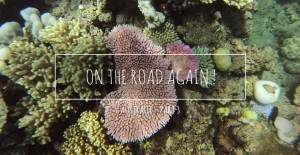 video-australie-on-the-road-again-part-3