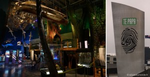 roadtrip-nouvelle-zelande-ile-nord-wellington-te-papa