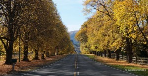 roadtrip-nouvelle-zelande-ile-sud-