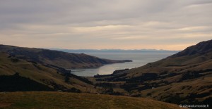 roadtrip-nouvelle-zelande-ile-sud-christchurch-akaroa