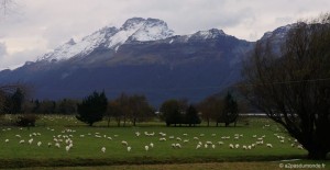 roadtrip-nouvelle-zelande-ile-sud-glenorchy