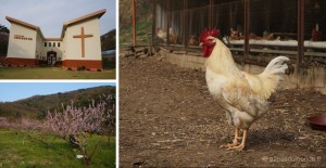 voyage-coree-du-sud-okcheon-parents-jeehee-agriculture