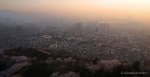 voyage-coree-du-sud-seoul-namsam-tower