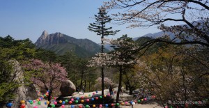 voyage-coree-du-sud-sokcho-parc-Seolaksan