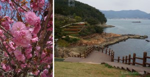 voyage-coree-du-sud-tongyeong-parc-leesoonsin