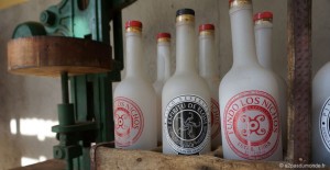 pisco-elqui-distillerie-artisanale-pisco-fundo-los-nichos-