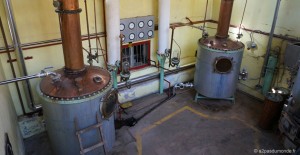 pisco-elqui-distillerie-artisanale-pisco-fundo-los-nichos