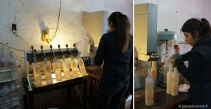 pisco-elqui-distillerie-artisanale-pisco-fundo-los-nichos-fabrication
