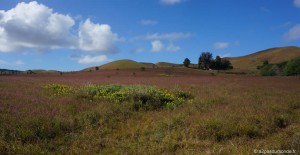 voyage-ile-de-paques-moais-paysage-ahu-akivi
