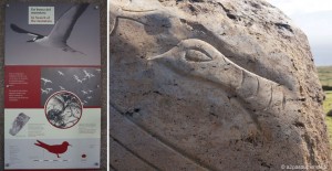 voyage-ile-de-paques-orongo-birdman