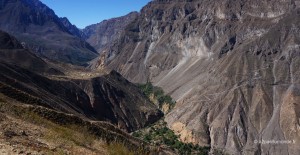 trek-canyon-colca-perou