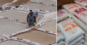 voyage-perou-vallee-sacree-maras-saline