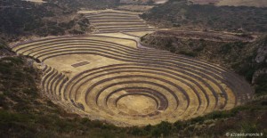 voyage-perou-vallee-sacree-moray-site-incas-recherche-agronomie