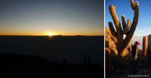salar-uyuni-lever-soleil-ile-cactus