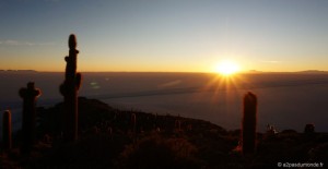 salar-uyuni-lever-soleil-ile-cactus-2