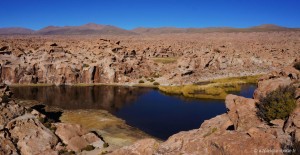 sud-lipez-laguna-negro