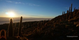 sud-lipez-salar-uyuni-voyage-bolivie-frontieres-reel