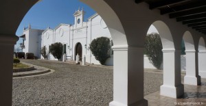 roadtrip-nord-argentine-cafayate-bodegas-el-estaco