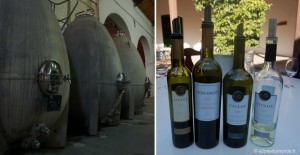 roadtrip-nord-argentine-cafayate-bodegas-el-estaco