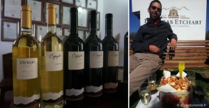 roadtrip-nord-argentine-cafayate-bodegas-etchart