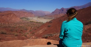 roadtrip-nord-argentine-salta-cafayate-parc-national-tres-cruces