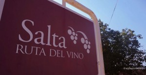 roadtrip-nord-argentine-salta-route-vins