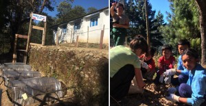 association-benevolat-nepal-shaktinepal-plantation-ecole