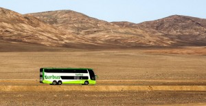 transport-bus-chili