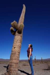 Roadtrip en Argentine