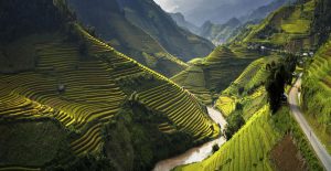 incontournables-vietnam